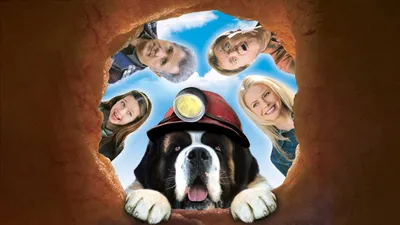 Afacan Köpek Beethoven 5 izle