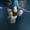 The Falling fragman izle